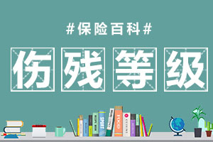 伤残等级