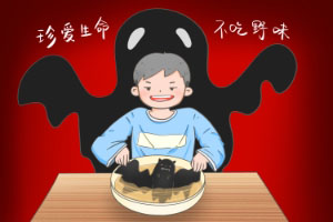 还想吃野味？不要忘记新型冠状病毒的教训